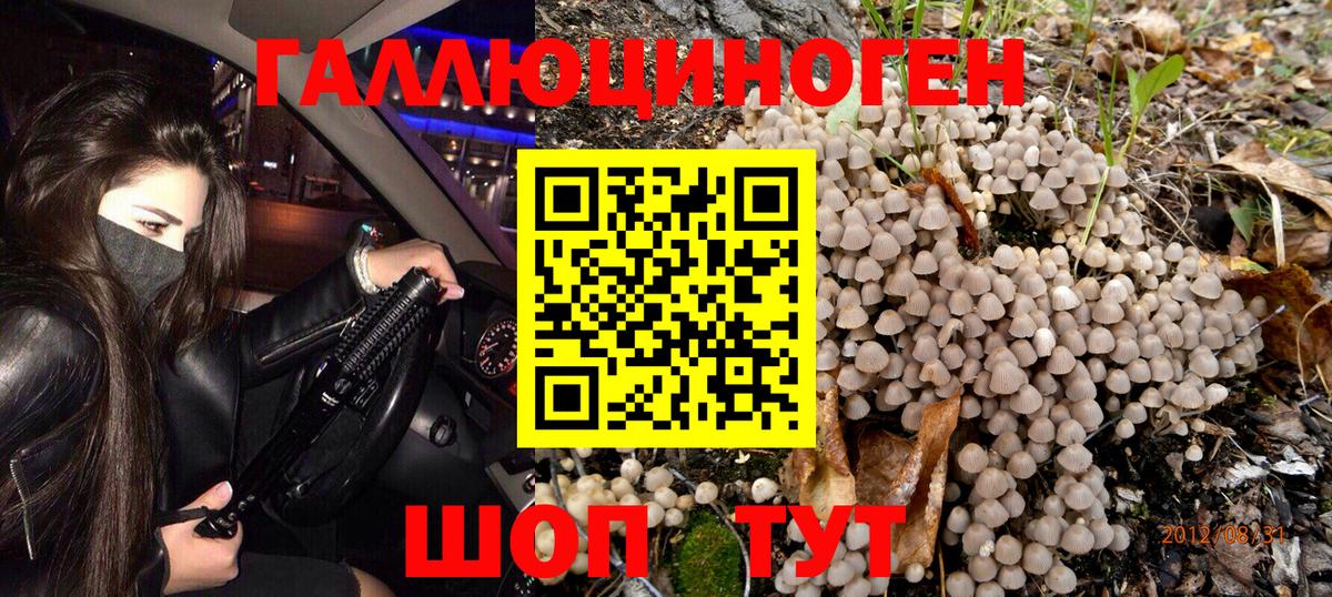 Псилоцибиновые грибы MAGIC MUSHROOMS Барнаул